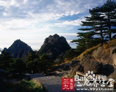 清明节踏青好去处