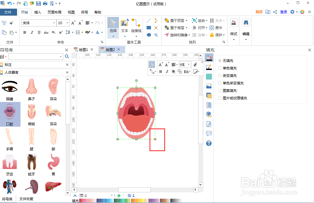 在亿图图示中创建口腔图