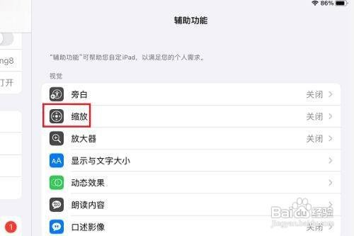 ipad怎么设置缩放滤镜