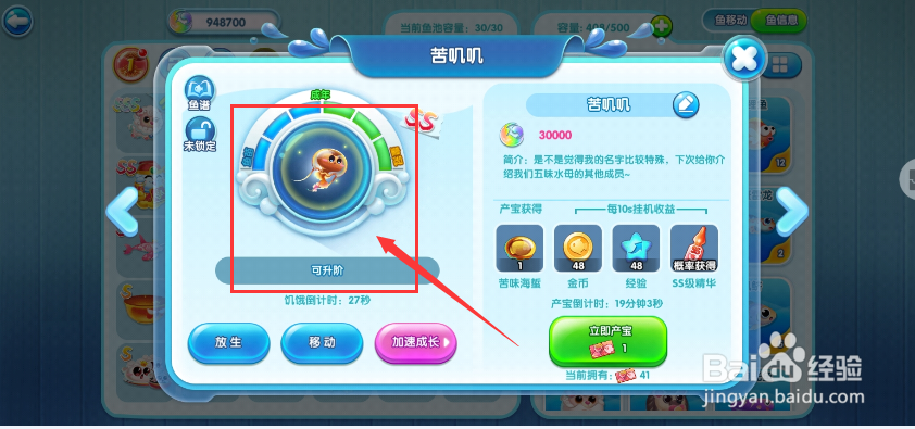 萌鱼泡泡手游如何将苦叽叽升阶到皇冠期