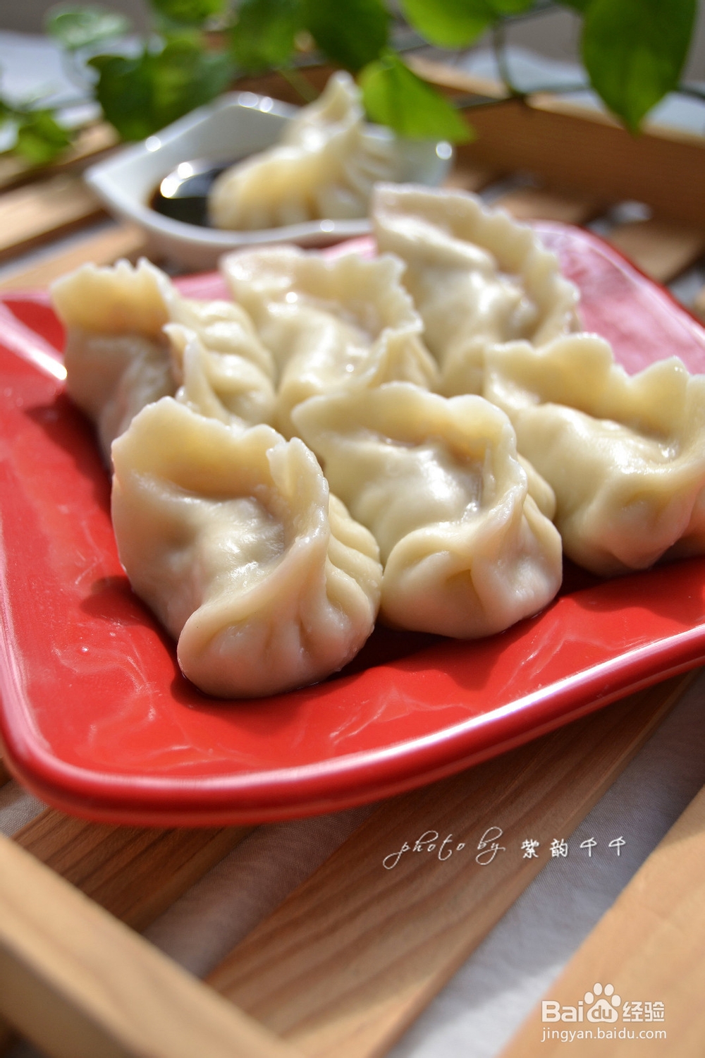 家常白萝卜猪肉饺子