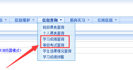 大学生怎样查询各类成绩