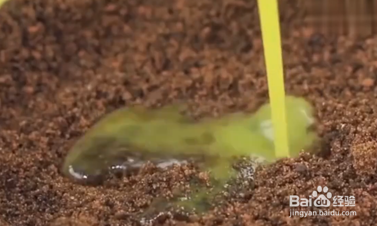 如何制作奥利奥蛋糕