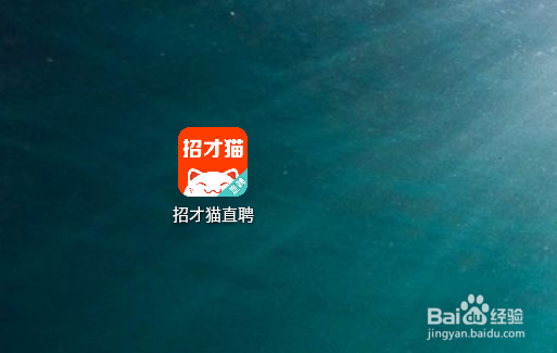 招才猫直聘免打扰模式怎么设置