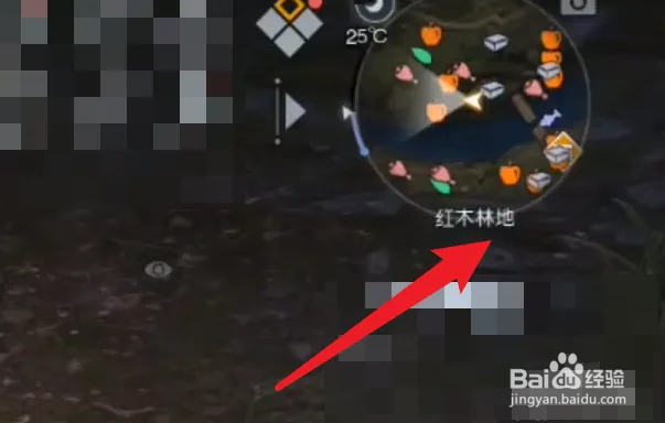黎明觉醒草棉怎么获得