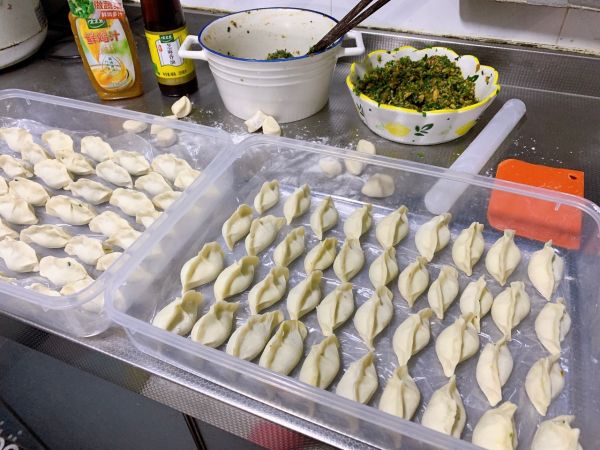 荠菜猪肉馅手工饺子