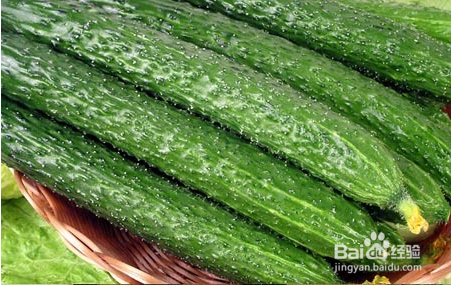 白露该如何养生