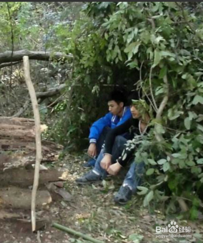 野外求生中如何徒手搭建庇护所