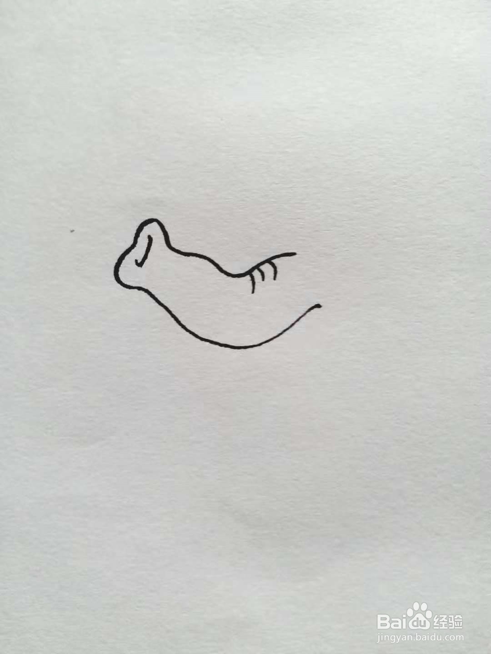 象的简笔画法《一》