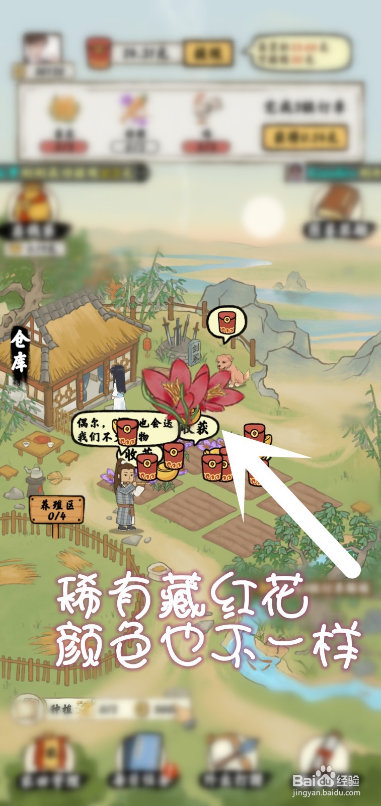 南山小院游戏怎么获得稀有藏红花