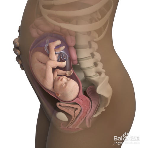 孕30周：胎儿和孕妈妈的最新变化，你知道吗？