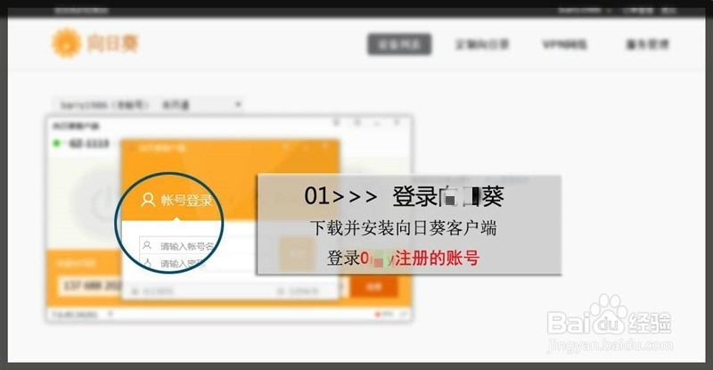 纯软件企业组网解决方案
