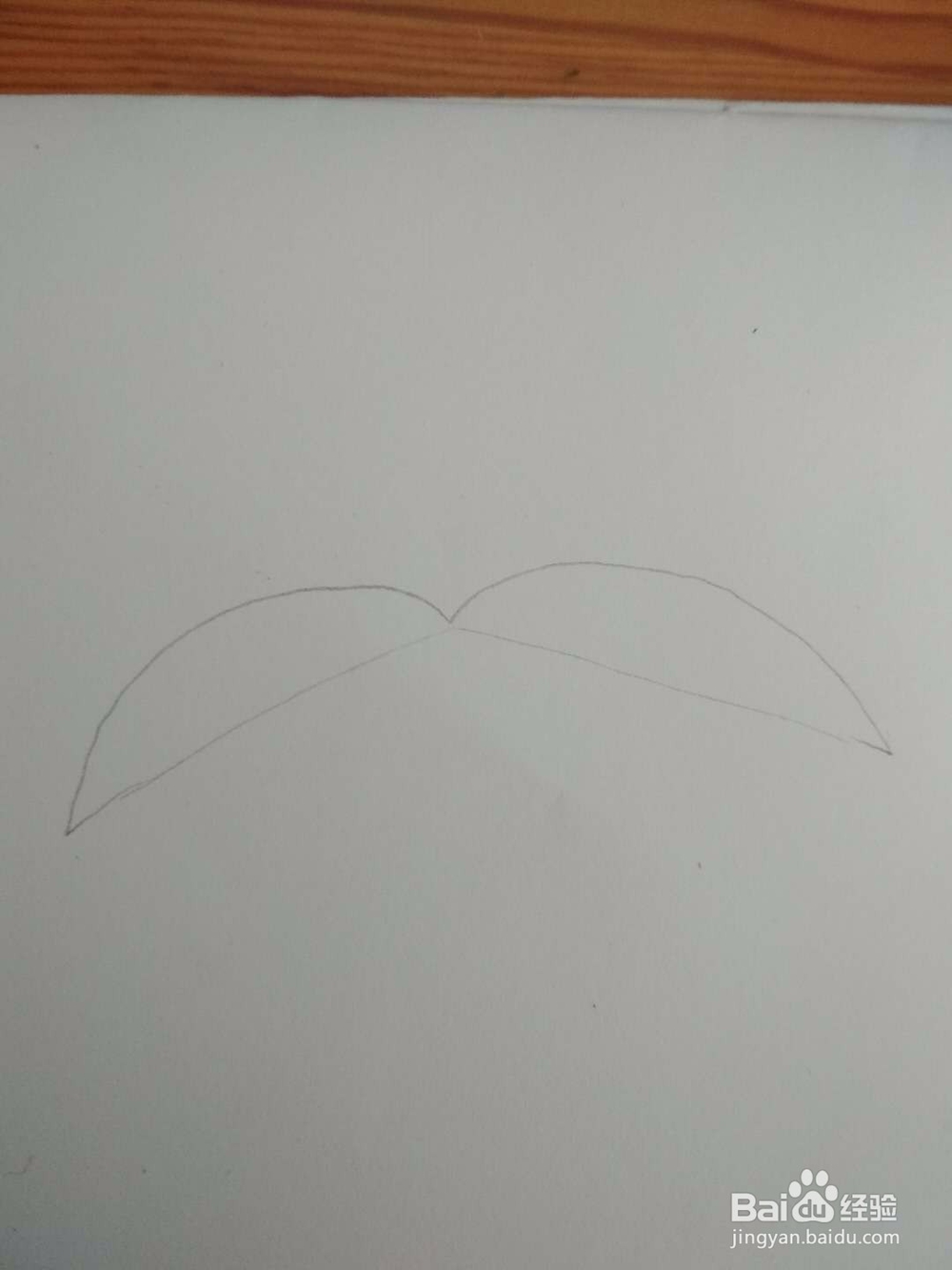 多妈简笔画植物一株椰子树