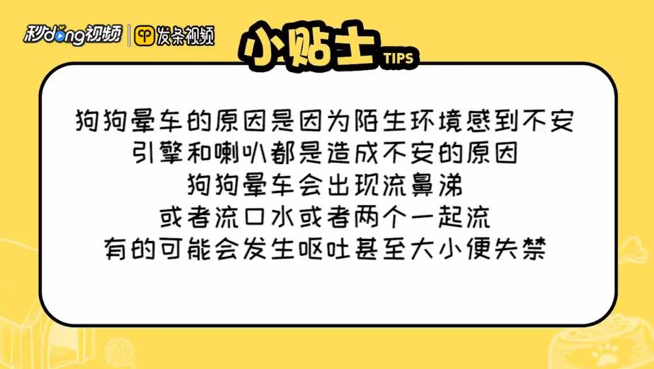狗狗晕车的症状及原因是什么?
