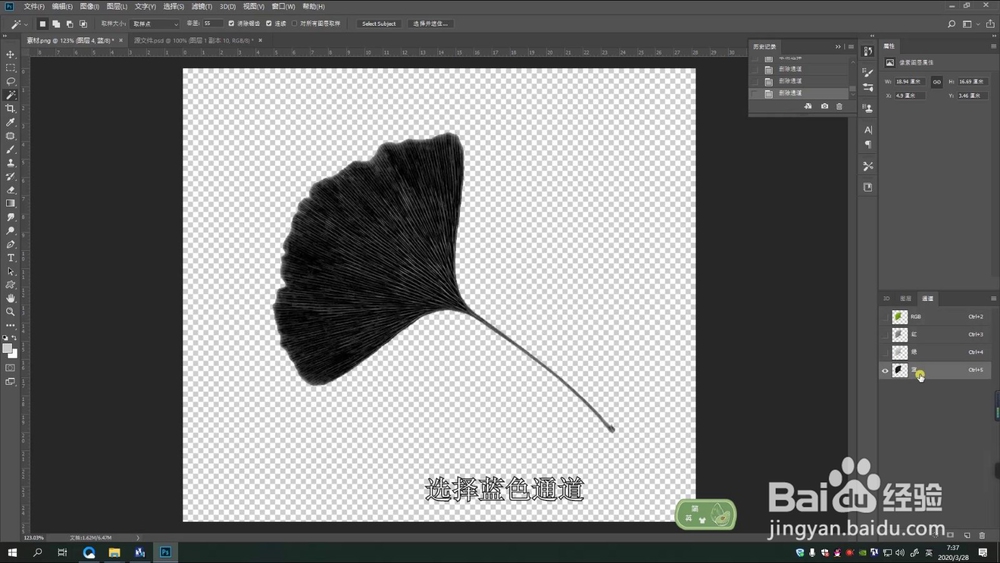 PS提取树叶脉络制作多彩树叶