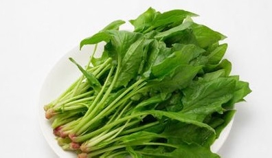用脑过度吃什么食物可以补脑