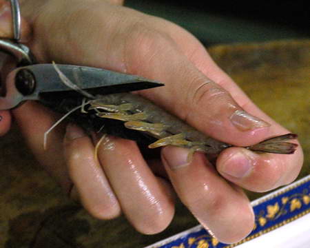 烹饪鱼虾类知识