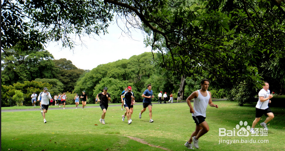 老年人预防脑梗