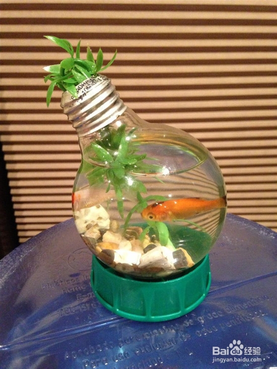 旧灯泡DIY——小清新