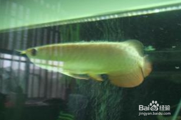 夏日如何降温呢