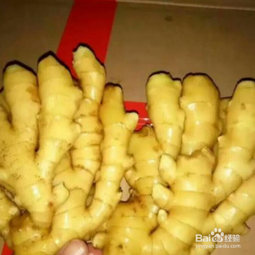 带泥生姜怎么储存方法