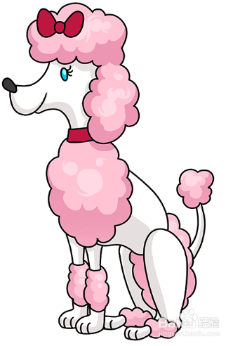 如何画可爱的贵宾犬?