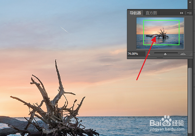 Photoshop 如何使用