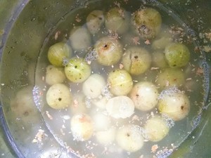油柑果怎么腌制