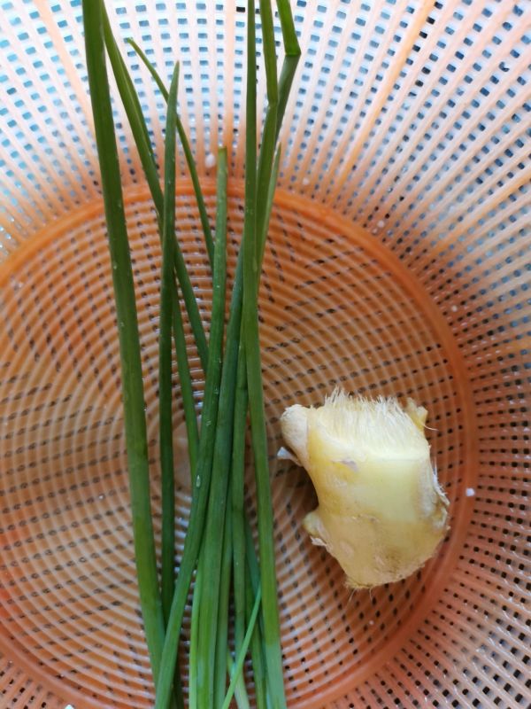 土豆糯米肉丸红烧肉