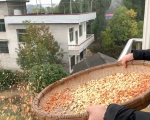 雪花圆子的做法