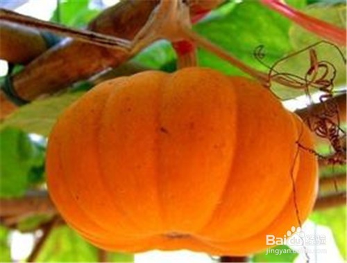 提高记忆力的食物？