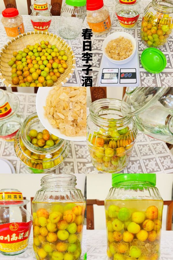 酸酸甜甜春日李子酒
