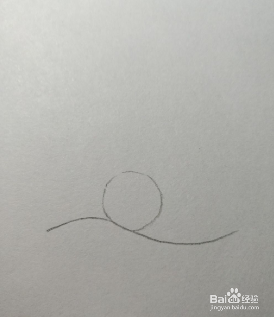 简笔画画珍珠蚌
