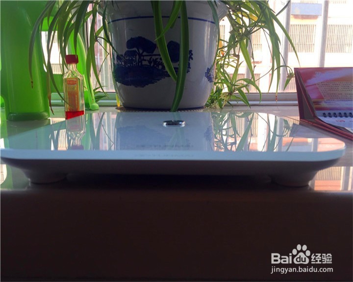 云麦(YUNMAI)好轻SE智能体重秤开箱测评