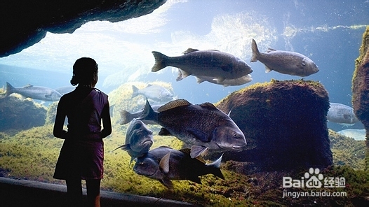 让孩子更聪明的八种方法