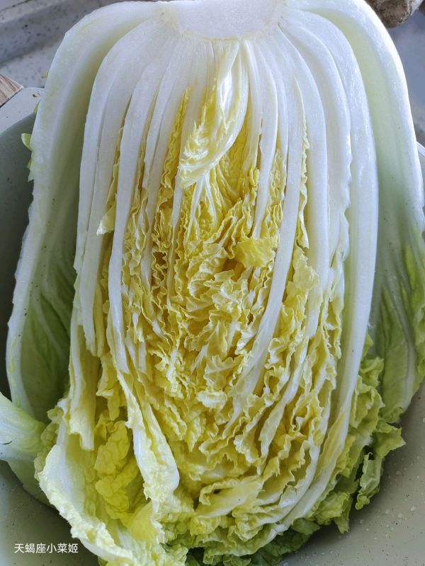 猪肉白菜炖粉条