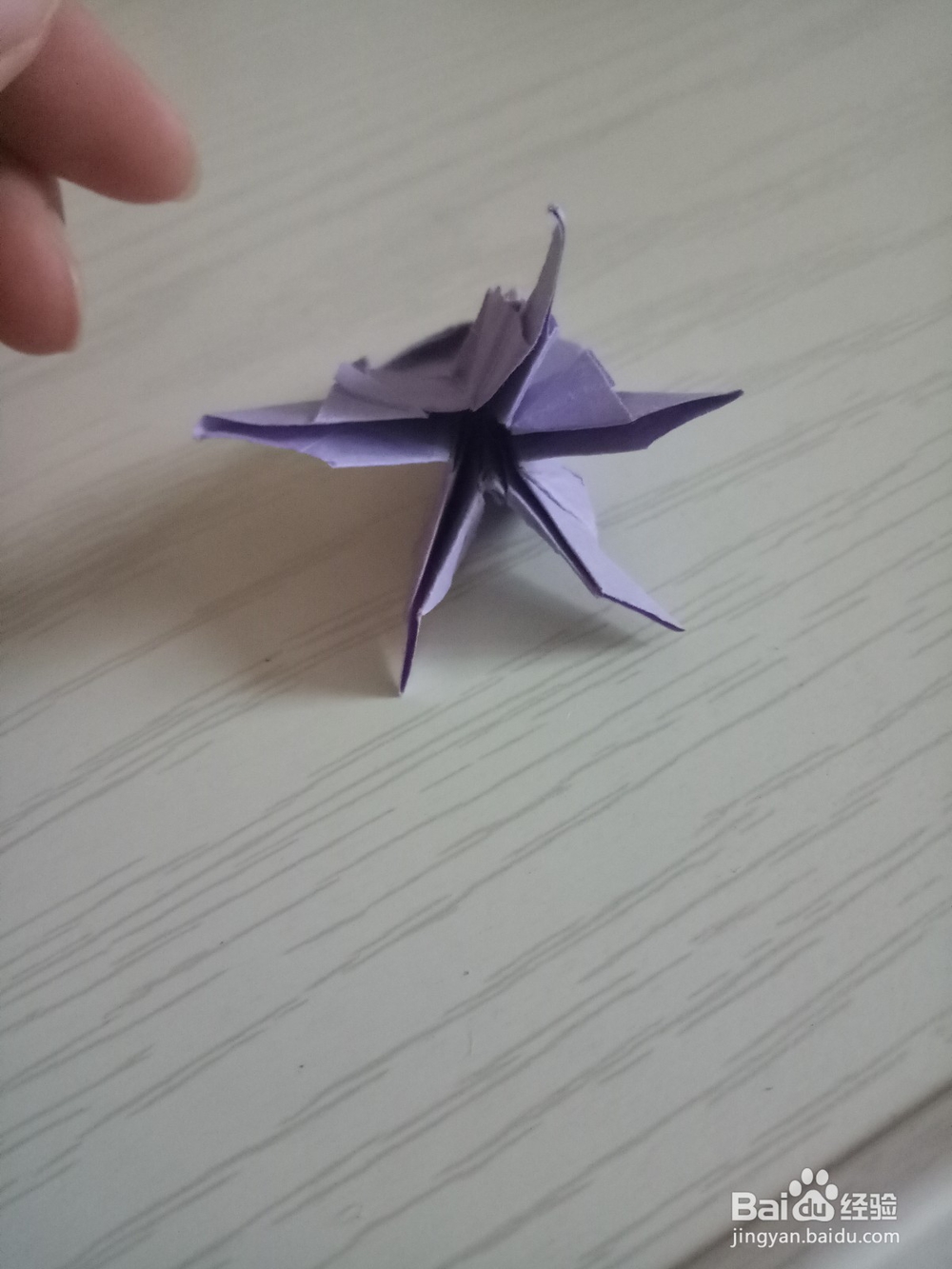 牵牛花折叠方法 下