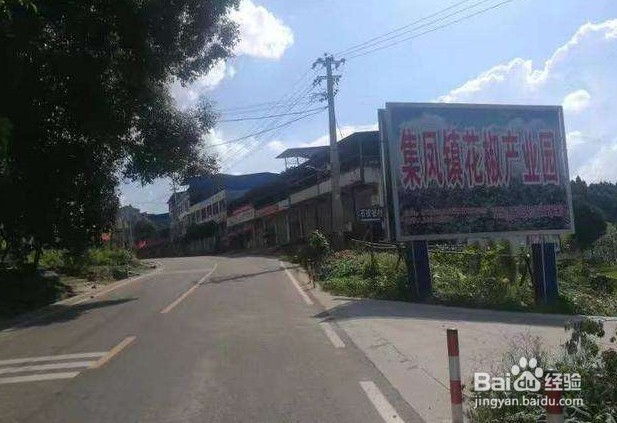 类似美国羚羊谷的地质奇观中江石林谷蚂蚁新村