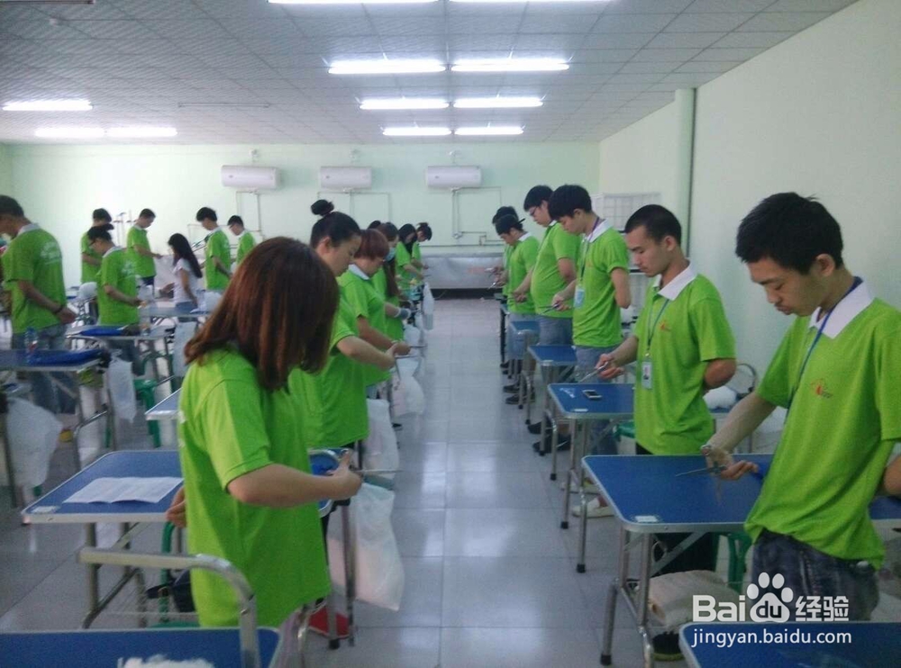 学宠物美容师能拿高薪吗