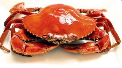 女人怀孕的时候不能吃什么?