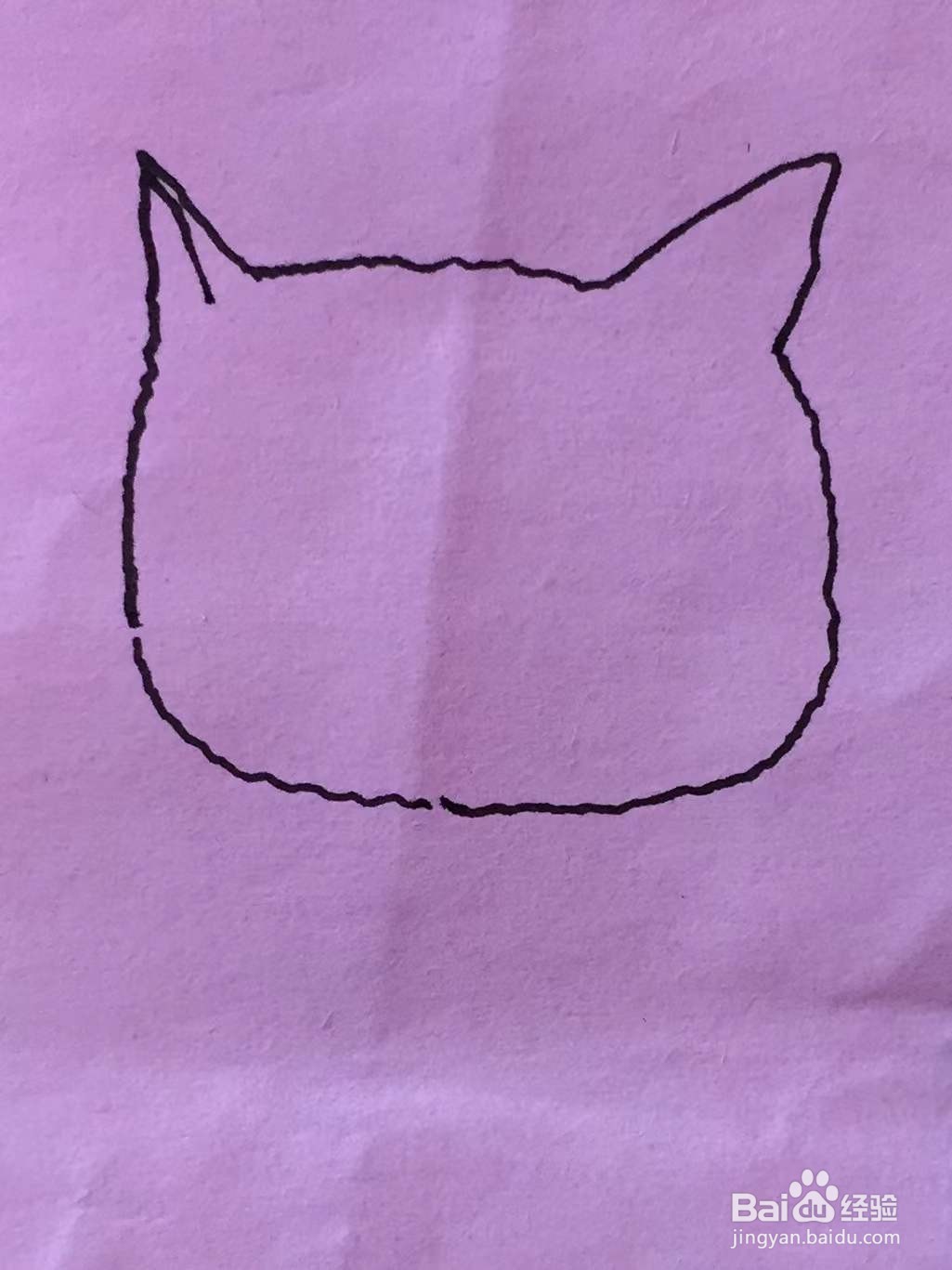 插画教程之猫咪和玄凤鸟