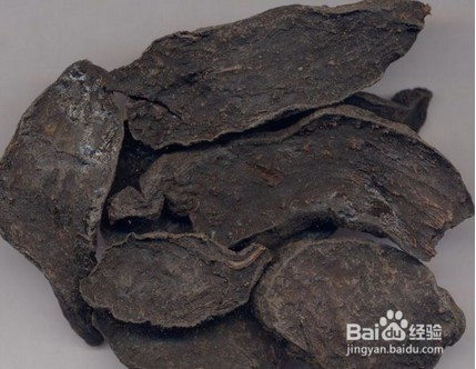 推荐一款可以补肾的粥