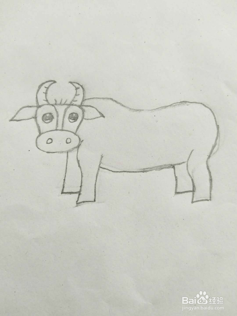 简笔画牛怎么画呢