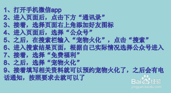 城市里小狗死了怎么处理