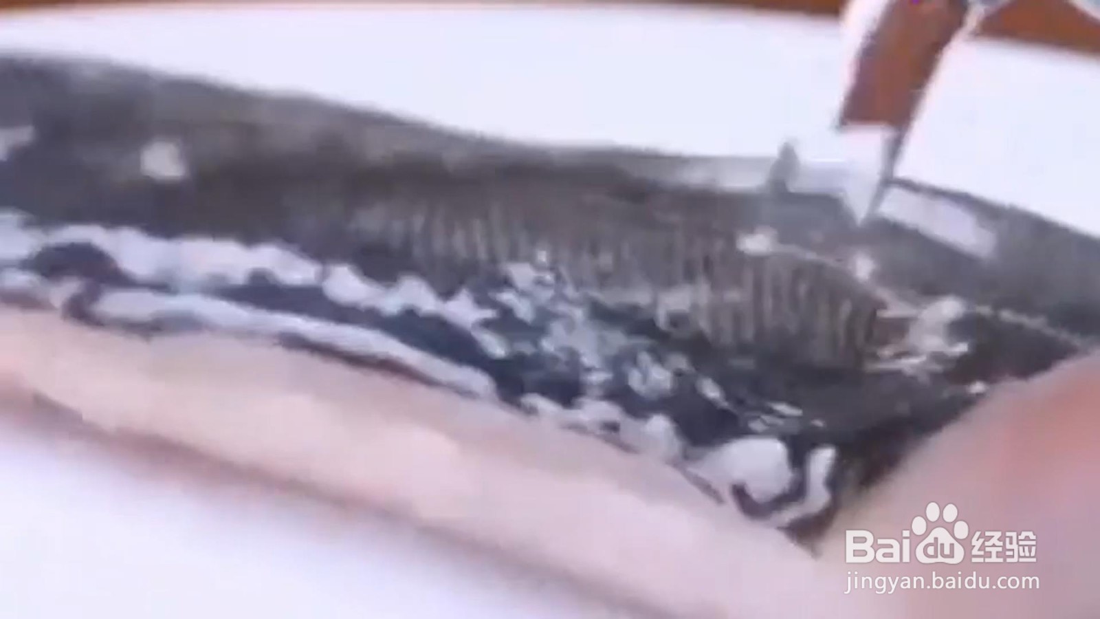 怎样巧用厨房小技巧