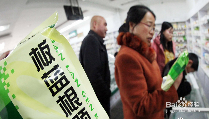 板蓝根的作用和对H7N9是否真的那么神奇