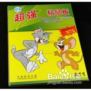 怎么抓老鼠和消灭老鼠