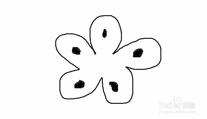 五瓣花朵如何手绘