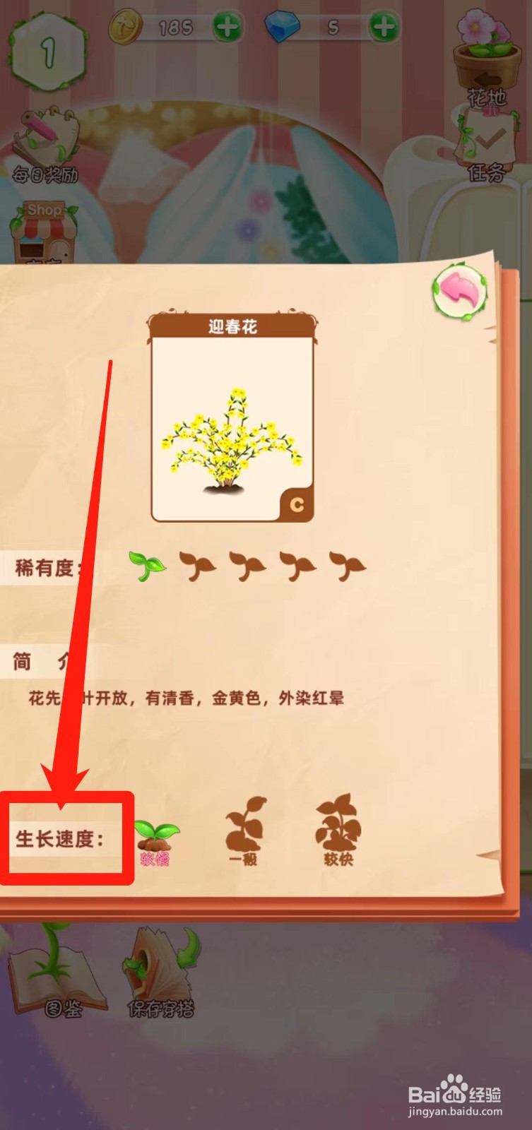 花花姑娘之魔法花园如何查看迎春花生长速度