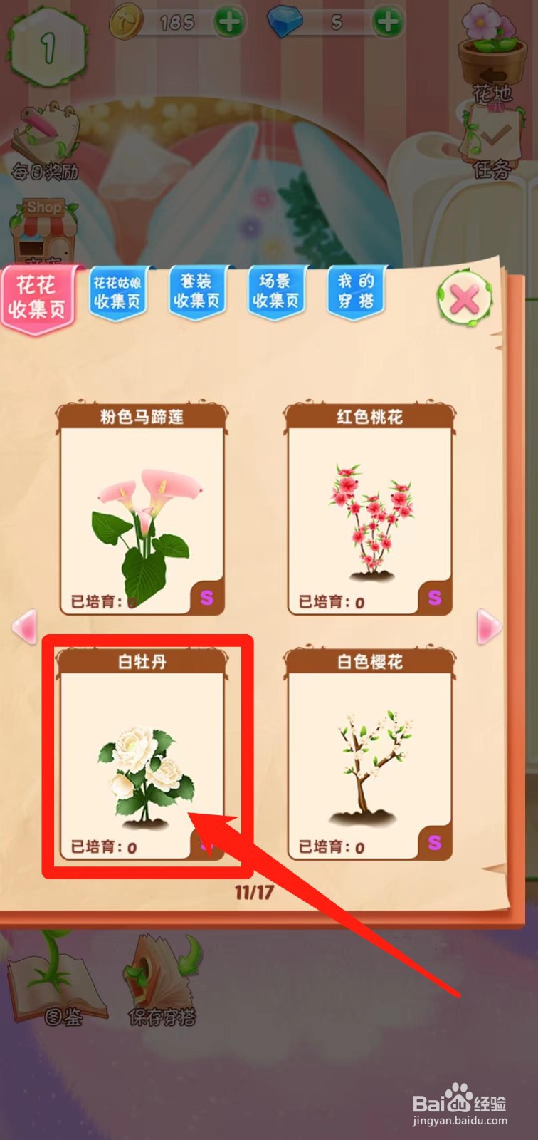 花花姑娘之魔法花园如何查看白牡丹简介